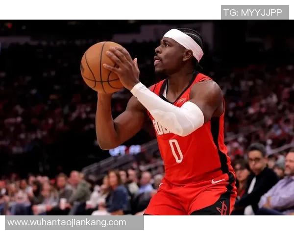 2016年17赛季骑士与火箭的精彩对决回顾与分析