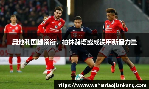 BB贝博艾弗森登录